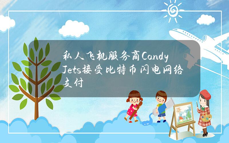 私人飞机服务商CandyJets接受比特币闪电网络支付