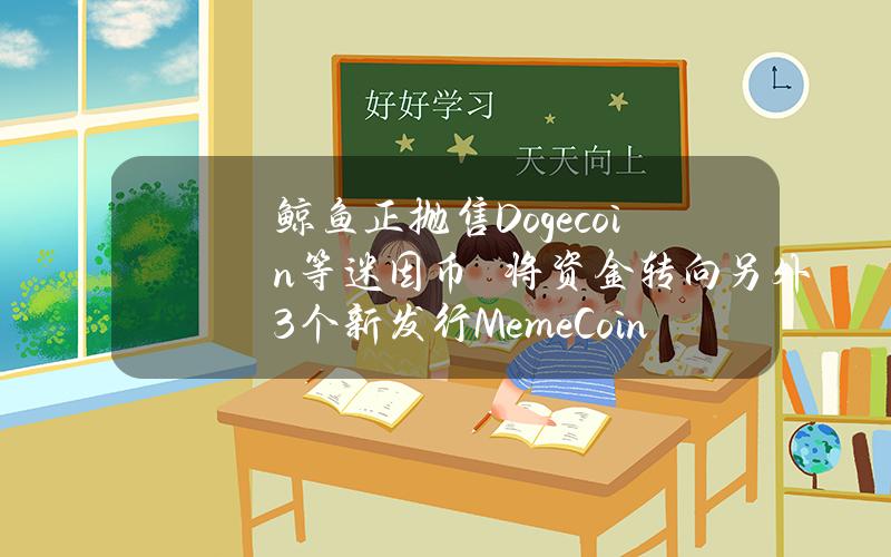 鲸鱼正抛售Dogecoin等迷因币　将资金转向另外3个新发行MemeCoin