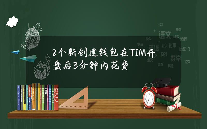 2个新创建钱包在TIM开盘后3分钟内花费