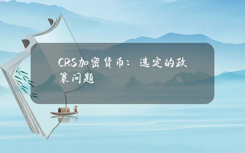 CRS加密货币：选定的政策问题