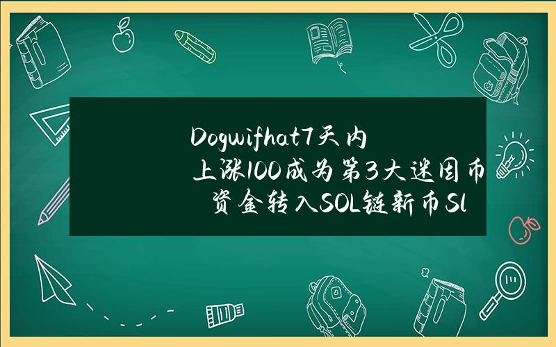 Dogwifhat7天内上涨100%成为第3大迷因币　资金转入SOL链新币Slothana