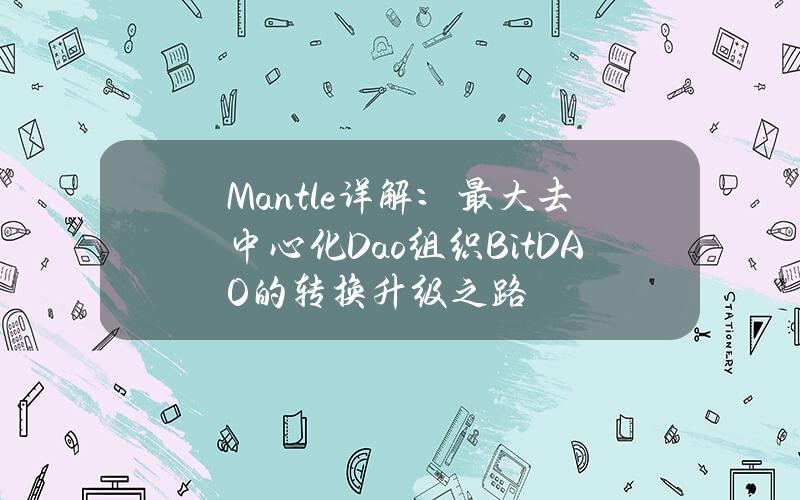 Mantle详解：最大去中心化Dao组织BitDAO的转换升级之路