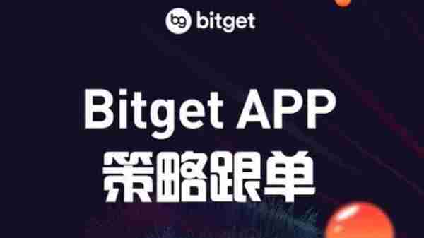   在bitget官网进行数字资产交易的详细流程是怎样的