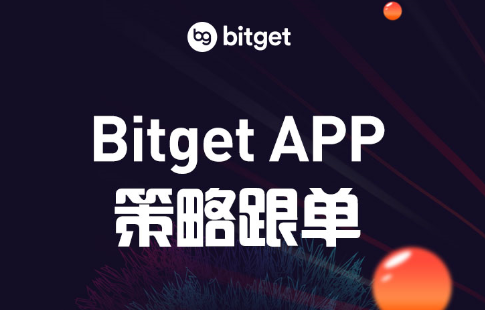   bitget平台官网使用规则有哪些？这些一定要了解